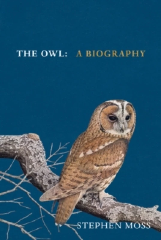 Image of The Owl : A Biography Hardback