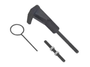 Image of Sealey VSE5909 Petrol Engine Timing Tensioner and Valve Timing Kit