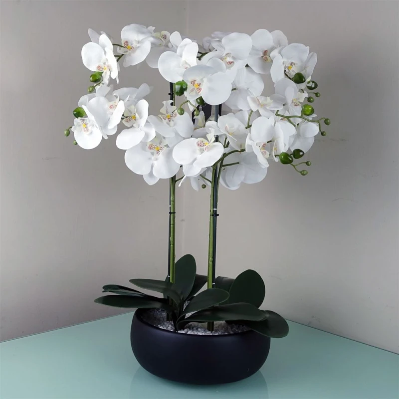 Image of Leaf 60cm Orchid White - Black Ceramic Planter Green
