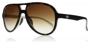 Image of adidas Originals 12.148 Sunglasses Havana / White 12.148 56mm