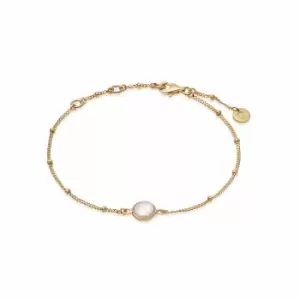Image of Daisy London Jewellery 18ct Gold Plated Sterling Silver Rose Quartz Healing Stone Bobble Bracelet 18Ct Gold Plate