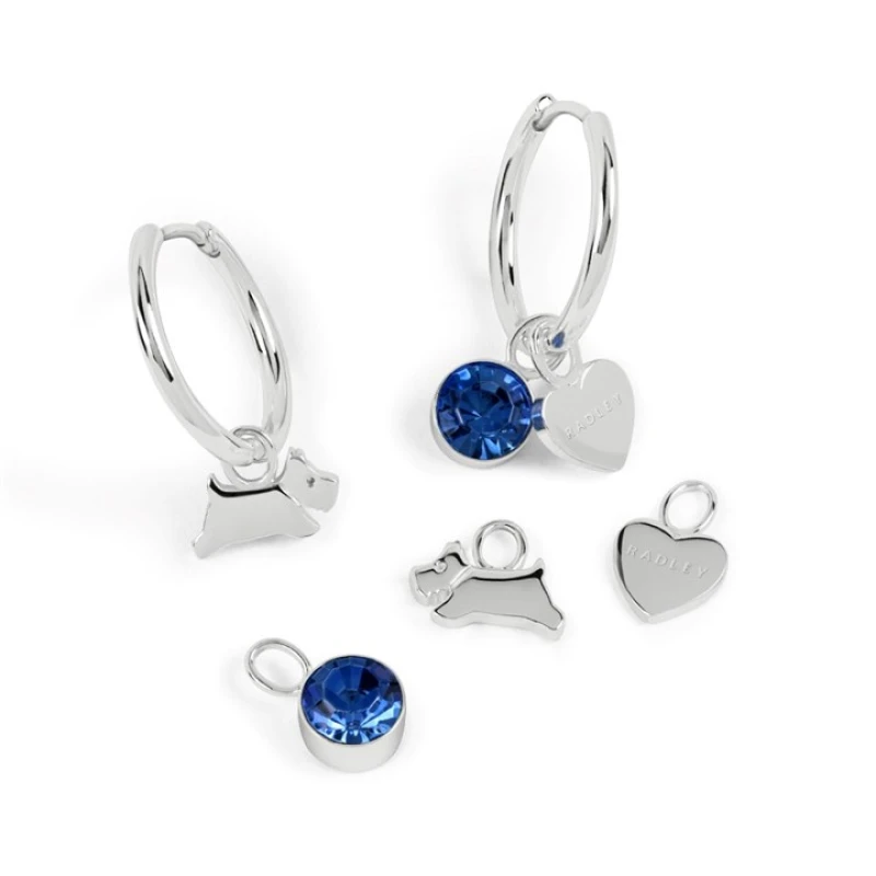 Image of Radley RYJ1545S Silver Tone Hoop Earrings And Charm Set - J81957