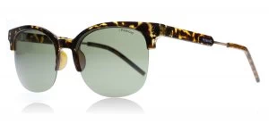 Image of Polaroid Palladium 2031S Sunglasses Havana Gold NHO Polariserade 54mm