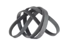 Image of CONTITECH V-ribbed belt BMW,FORD,RENAULT 6PK1780 46527337,60815666,60816115 71719401,11288507416,11288512233,11288519874,8507416,46527337,46786740