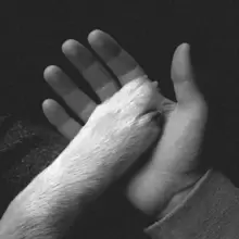 Image of Tasha Sits Close to the Piano