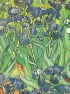 Image of van gogh notebook