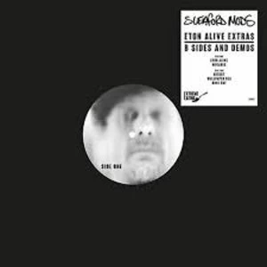 Image of Sleaford Mods - Eton Alive Extras B Sides And Demos Vinyl
