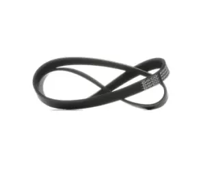 Image of DAYCO V-ribbed belt 6PK1020K Serpentine belt,Auxiliary belt PEUGEOT,CITROEN,207 (WA_, WC_),208 I Schragheck (CA_, CC_),207 SW (WK_)