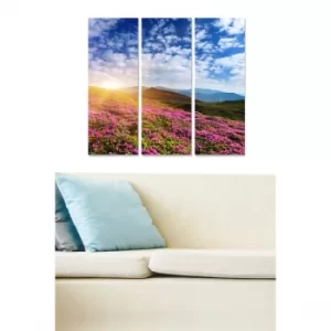 Image of MDF96367208 Multicolor Decorative MDF Painting (3 Pieces)