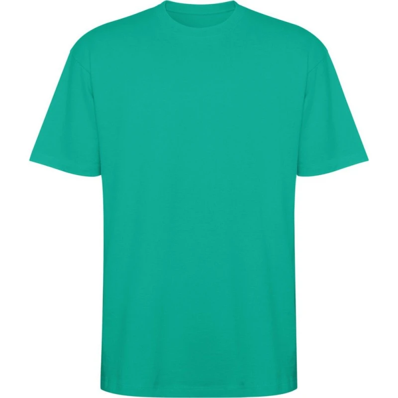 Image of ROLY ROLY Men Bull Oversized Short-Sleeved T-Shirt in Jade Size: X-Small Jade XS Male 5063806626305