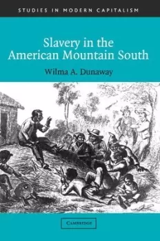 Image of Slavery in the American Mountain South by Wilma A. Dunaway