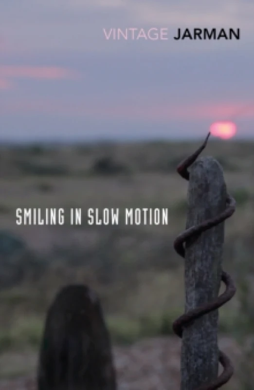 Image of Smiling in Slow Motion : Journals, 1991-1994 Paperback / softback