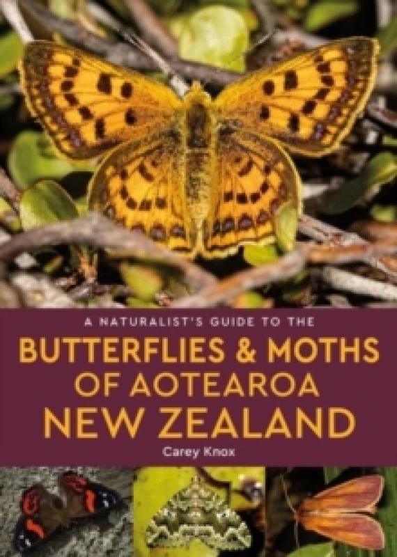 Image of A Naturalist's Guide to the Butterflies & Moths of Aotearoa New Zealand Paperback / softback