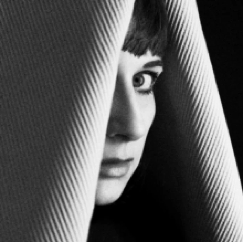 Image of Les Manires De Table Vinyl