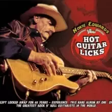 Image of Hot Guitar Licks