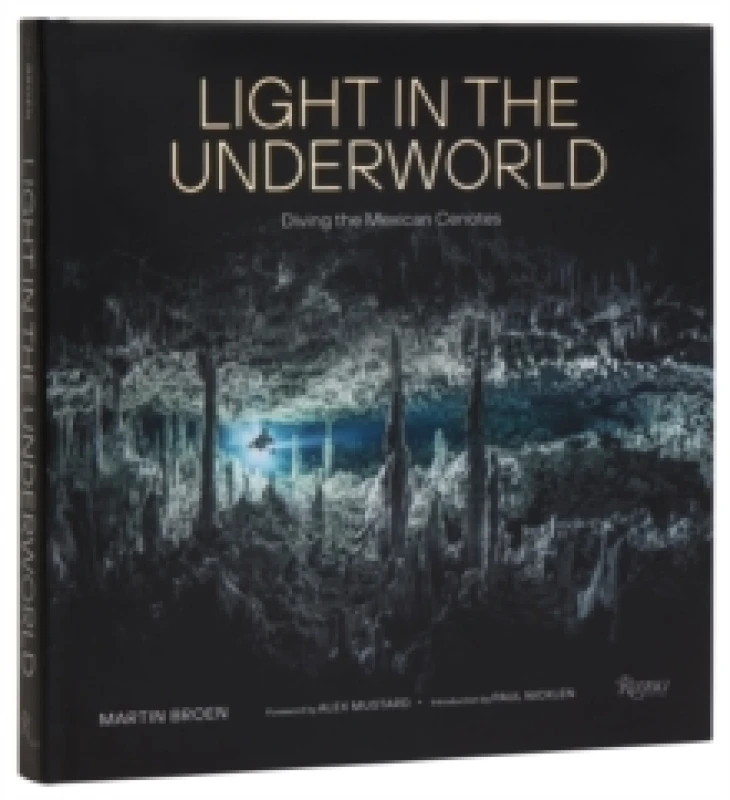 Image of Light in the Underworld. Hardback. By Martin Broen Books