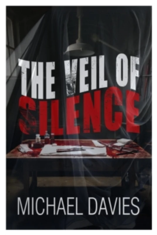 Image of The Veil of Silence Paperback / softback