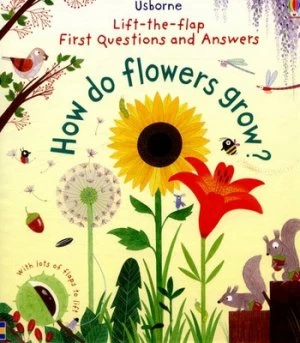 Image of How Do Flowers Grow by Katie Daynes Hardback