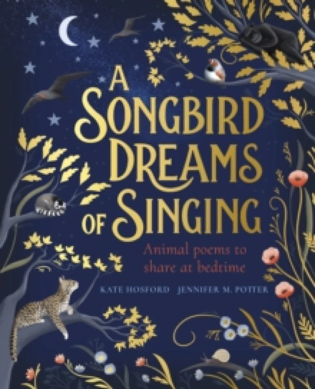 Image of Kate Hosford A Songbird Dreams of Singing Book Multi unisex
