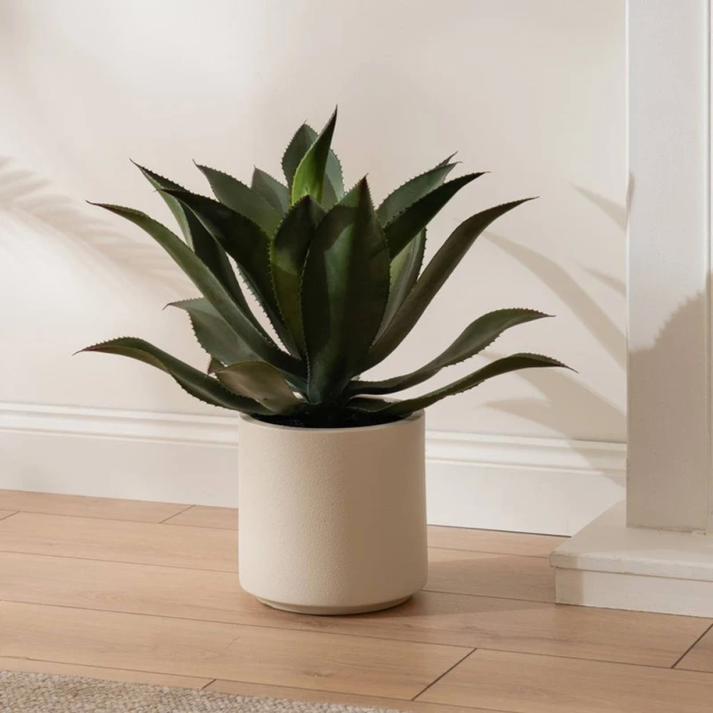 Image of Scottish Everlastings Ltd 57cm Oversized Agave in Green Green Unisex