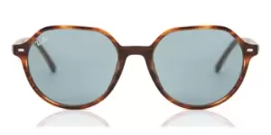 Image of Ray-Ban Sunglasses RB2195 Thalia 954/62