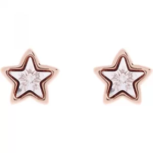 Image of Ted Baker Ladies Rose Gold Plated Crystal Star Earrings