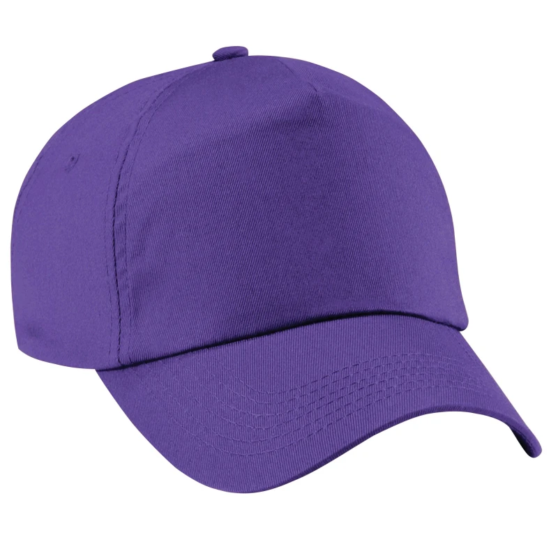 Image of Beechfield B10B boys's Children's cap in Purple