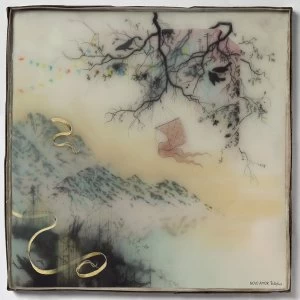 Image of Novo Amor - Birthplace Vinyl
