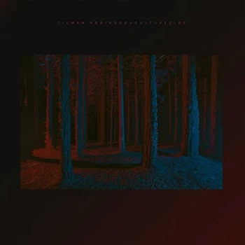 Image of Tilman Robinson - Culturecide Vinyl