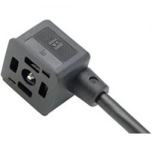 Image of Binder 31 1313 300 520 Black