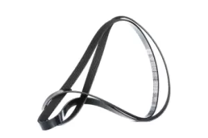 Image of DAYCO V-ribbed belt 5PK1815 Serpentine belt,Auxiliary belt BMW,OPEL,HYUNDAI,5 Touring (F11),5 Limousine (E39),5 Touring (E39),3 Limousine (E36)