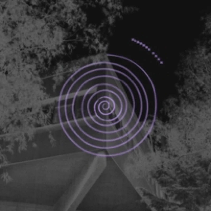 Image of Ensamheten Vinyl