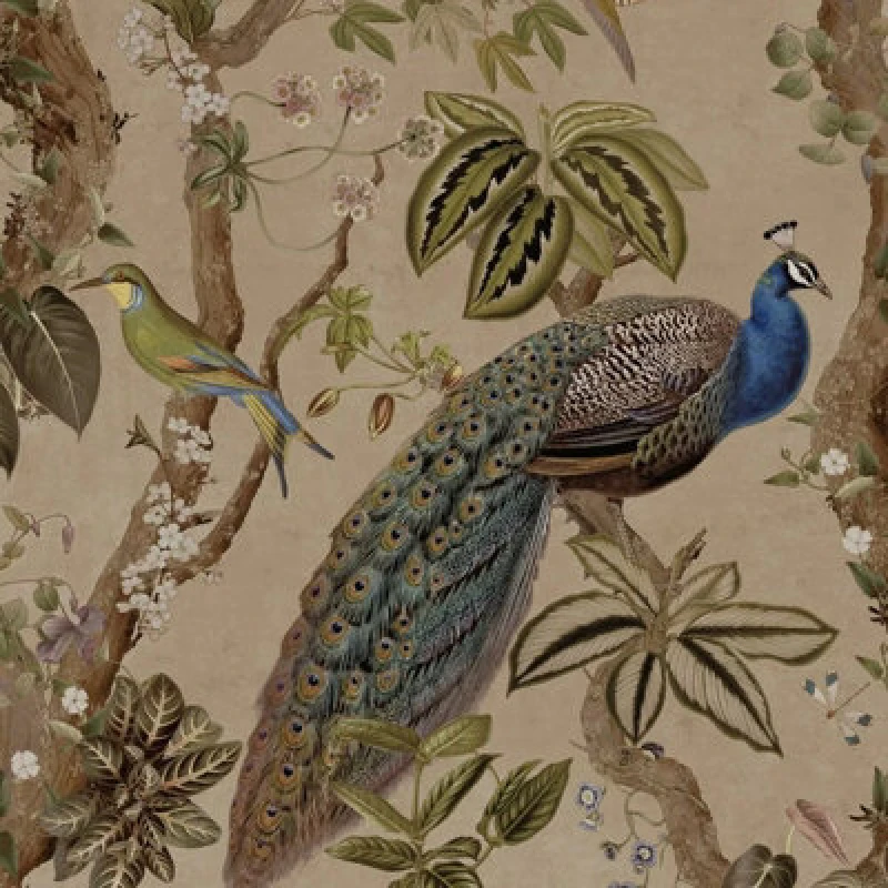 Image of Holden Decor Holden Peacock Woods Tropical Floral Exotic Birds Flowers Taupe Wallpaper