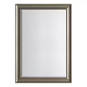 Image of Pesaro Mirror 74 x 104cm Antique Silver Silver