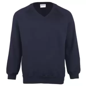 Image of Maddins Mens Coloursure V-Neck Sweatshirt (M) (Navy)