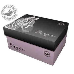 Image of Blake Soho Cream Wove A4 Paper & Wallet P&S DL envelopes