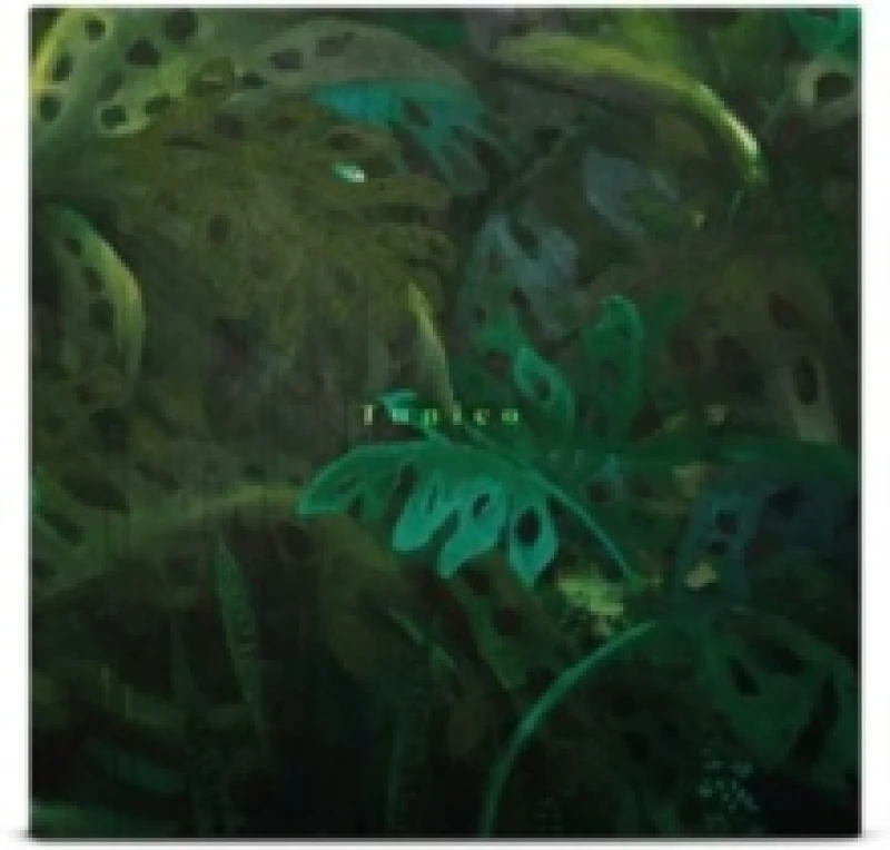 Image of Tunico Vinyl