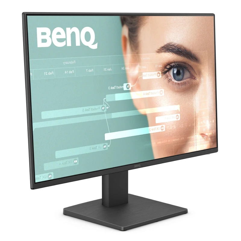 Image of BenQ GW2491 24 IPS Full HD 100Hz Eye Care Monitor 9H.LNELJ.LBE Black