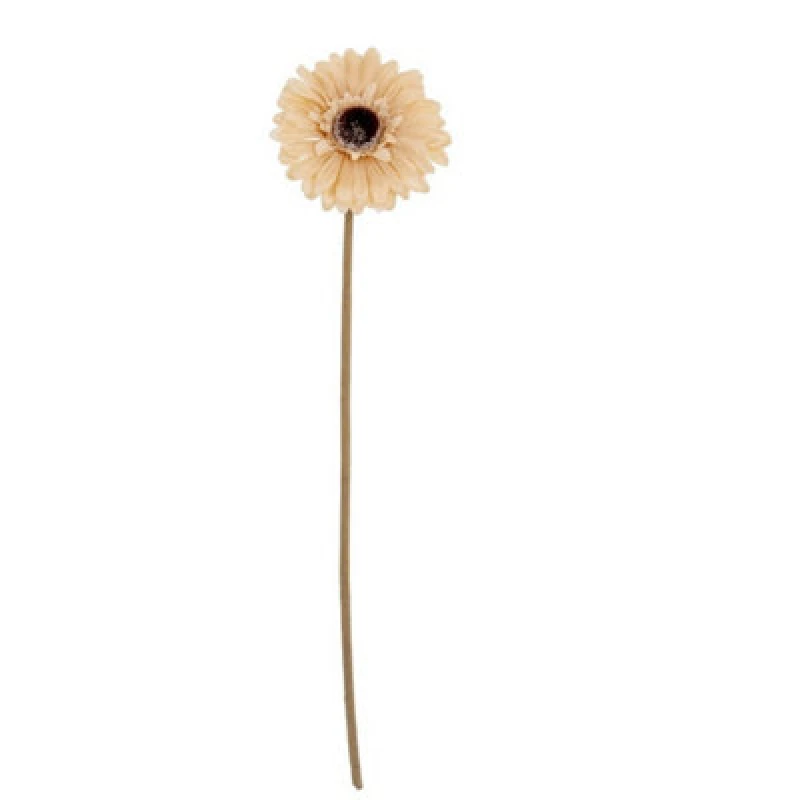 Image of Hill Interiors Cream Gerbera Stem Artificial Flower - Plastic - L11 X W11 X H53cm - Cream