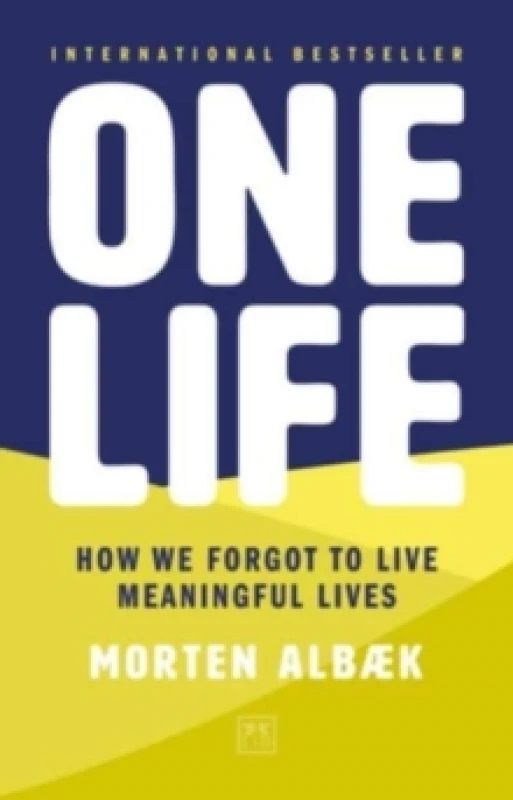Image of One Life : How we forgot to live meaningful lives Paperback / softback
