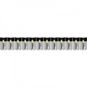 Image of Energizer Industrial LR20 D battery Alkali-manganese 1.5 V 12 pcs