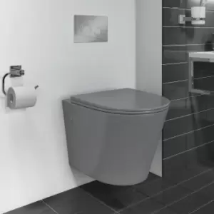 Image of Grey Wall Hung Rimless Toilet with Soft Close Seat - Verona