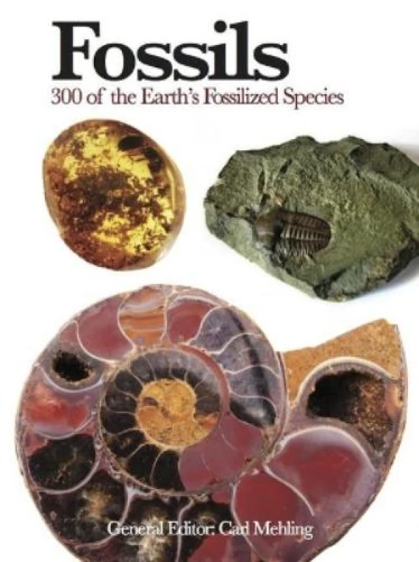 Image of Fossils : 300 of the Earth's Fossilized Species Paperback / softback