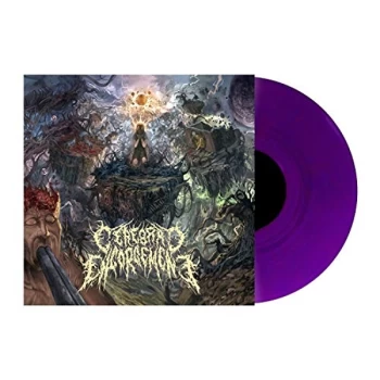 Image of Cerebral Engorgement - Cerebral Chronicles Vinyl