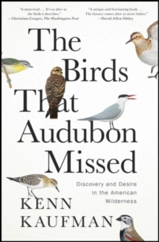 Image of The Birds That Audubon Missed : Discovery and Desire in the American Wilderness Paperback / softback