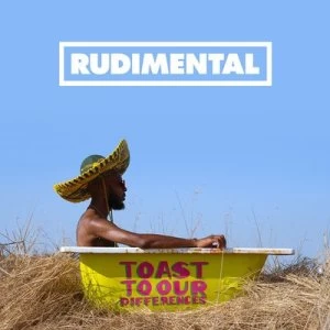 Image of Toast to Our Differences by Rudimental Vinyl Album