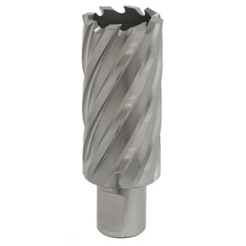 Image of Rotabor Cutter HSS 29MM - Cut Depth 50MM