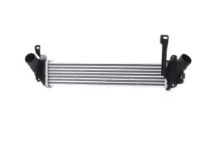 Image of RIDEX Intercooler RENAULT,NISSAN 468I0232 8200137653,8200221885,8200732390 Turbo Intercooler,Intercooler, charger 8200137653,8200221885,8200732390