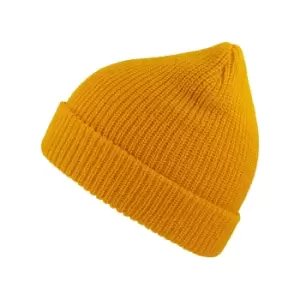 Image of Atlantis Woolly Wool Blend Beanie (One Size) (Yellow)