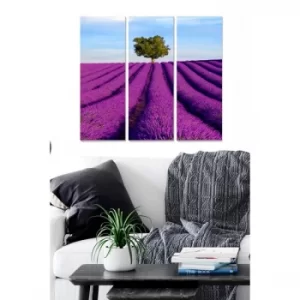 Image of MDF24592723 Multicolor Decorative MDF Painting (3 Pieces)